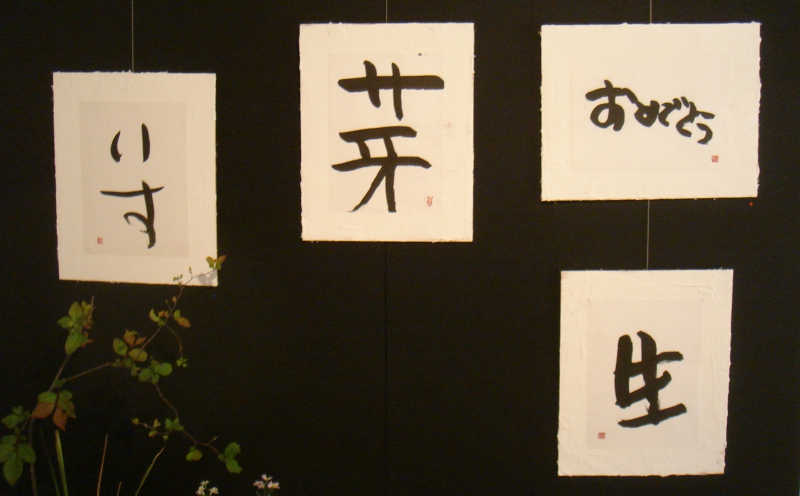 dsc07723.jpg